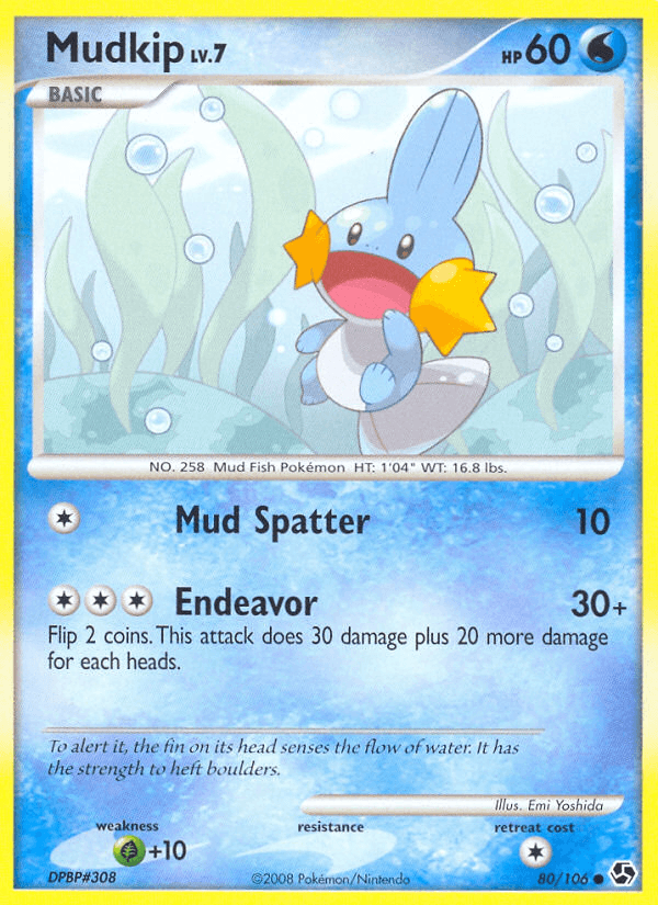 Mudkip #80/106