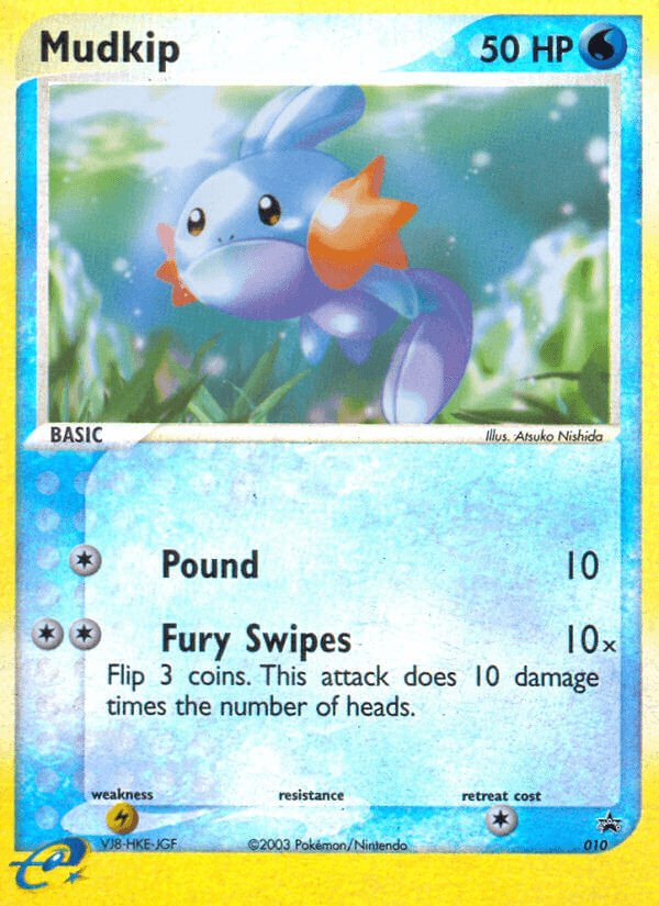 Mudkip #10